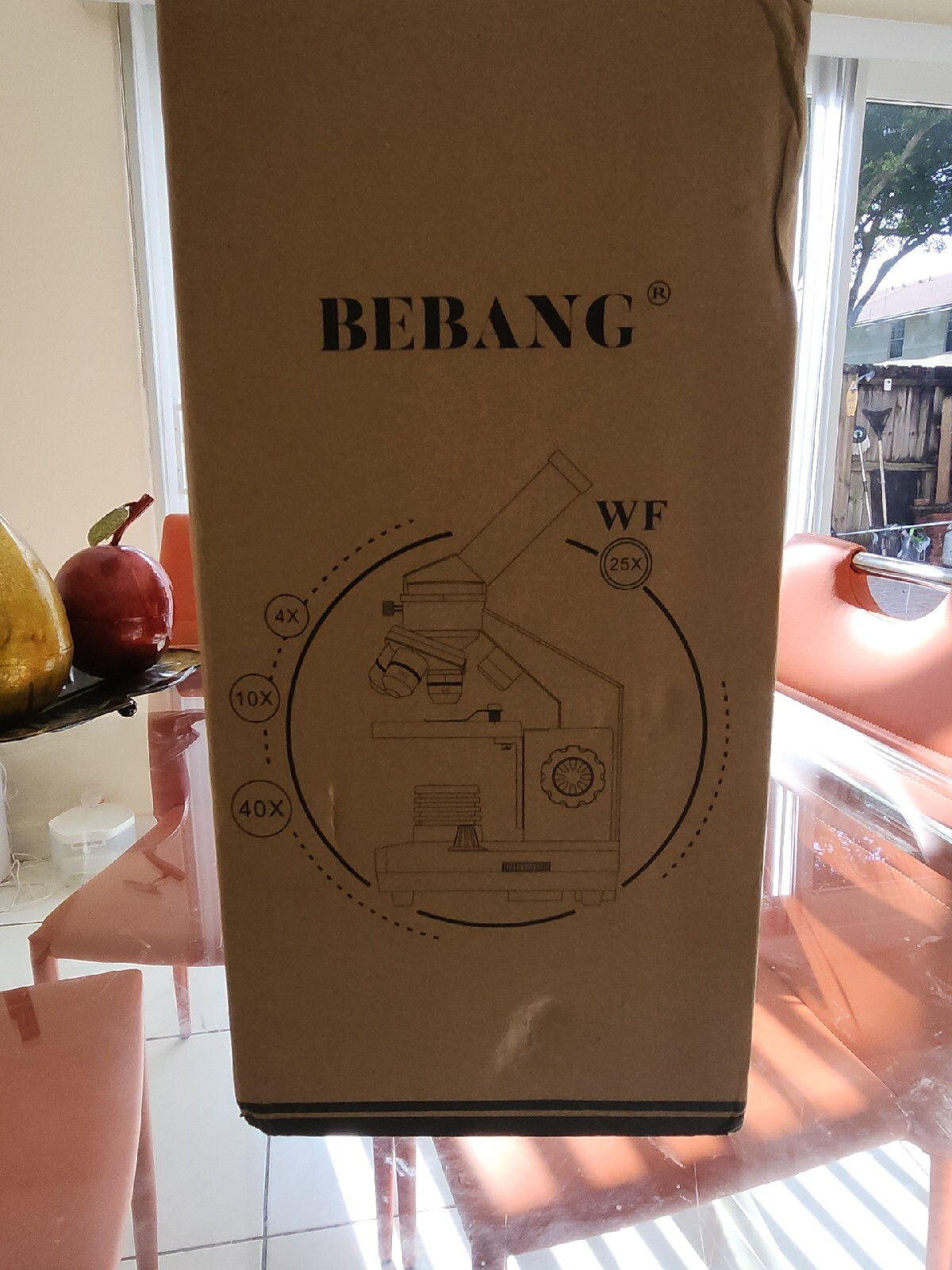 BEBANG Ultra Power Microscope 100X-2000X with Microscope Slides