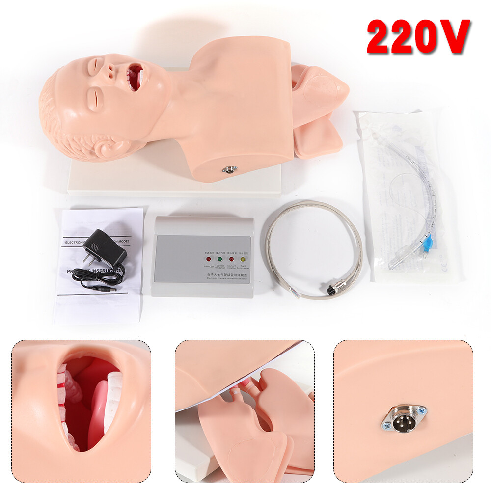 Airway Management Model Healthcare Training Airway Manikin Patient Simulator USA