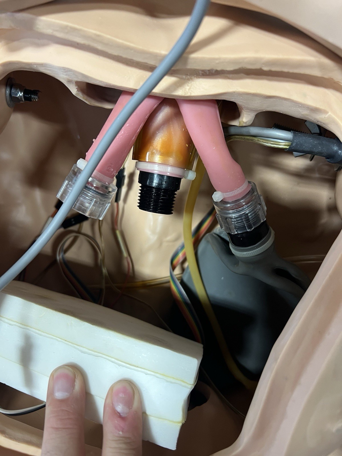 Laerdal 300-05050 NSG Nursing Kelly Medical Training Manikin Adult Full Body