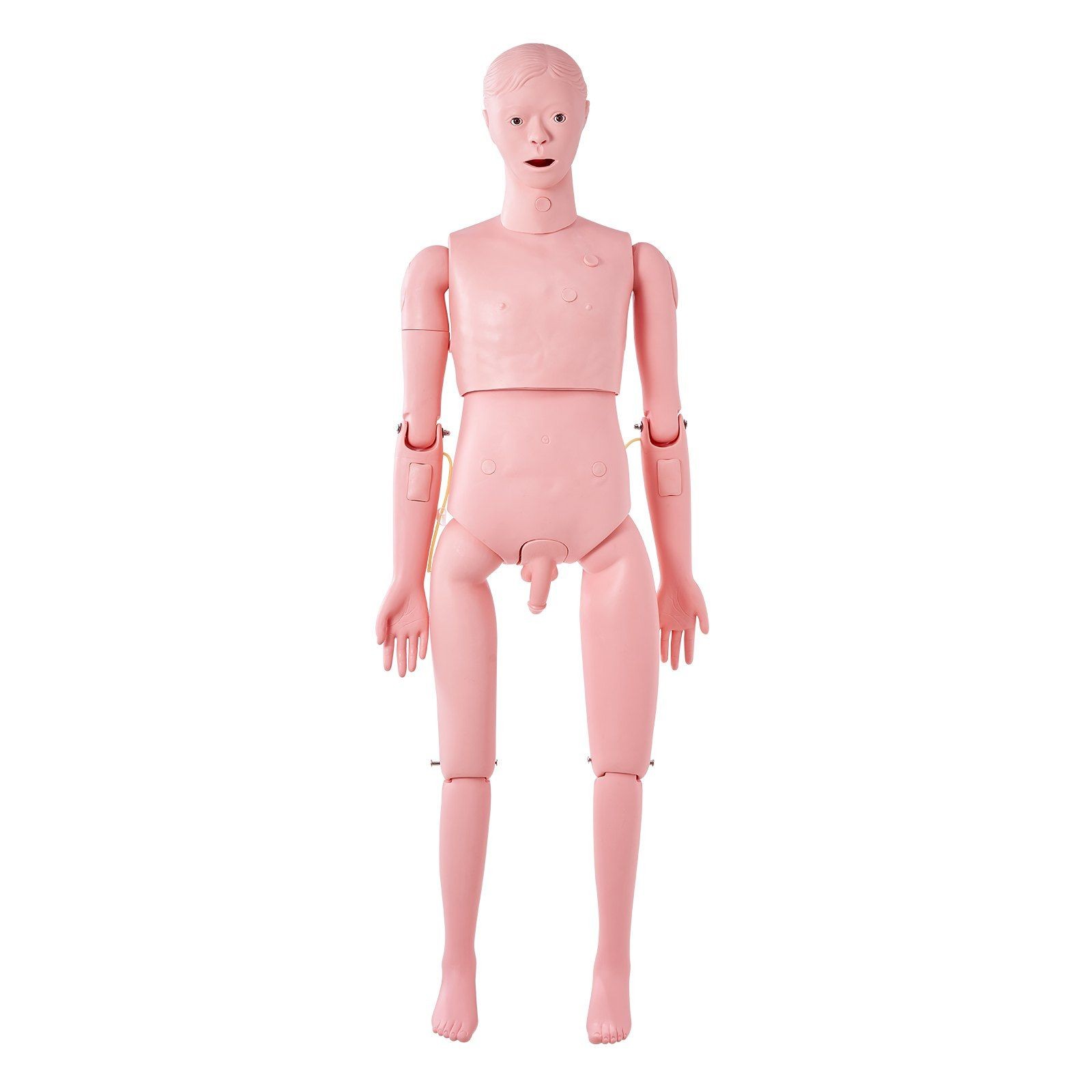Nursing Training Manikin: Full-Body PVC Model for IV, Catheter, Intubation