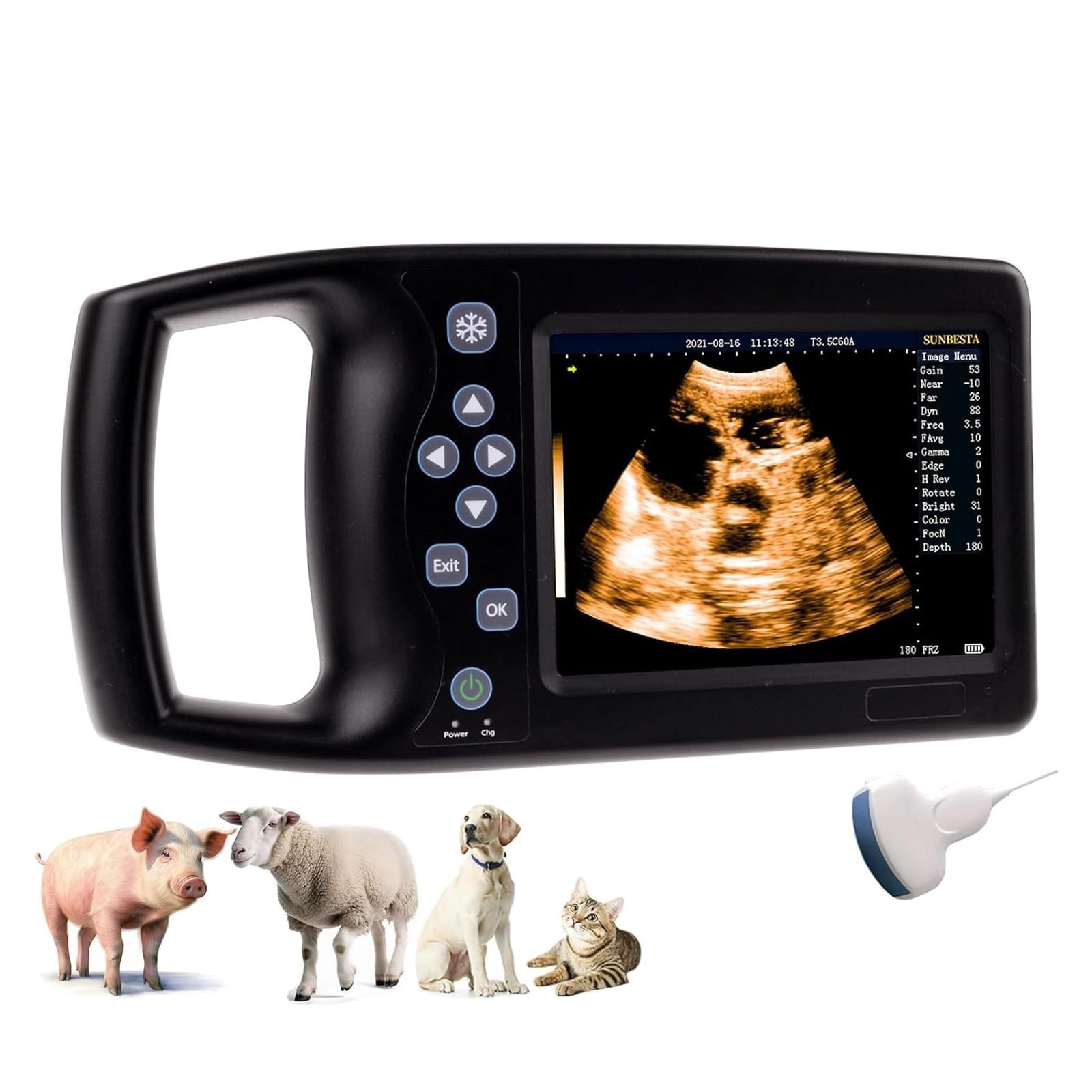 A8 Vet Ultrasound Machine for Pregnancy 3.5Mhz Convex Probe for pig sheep dog