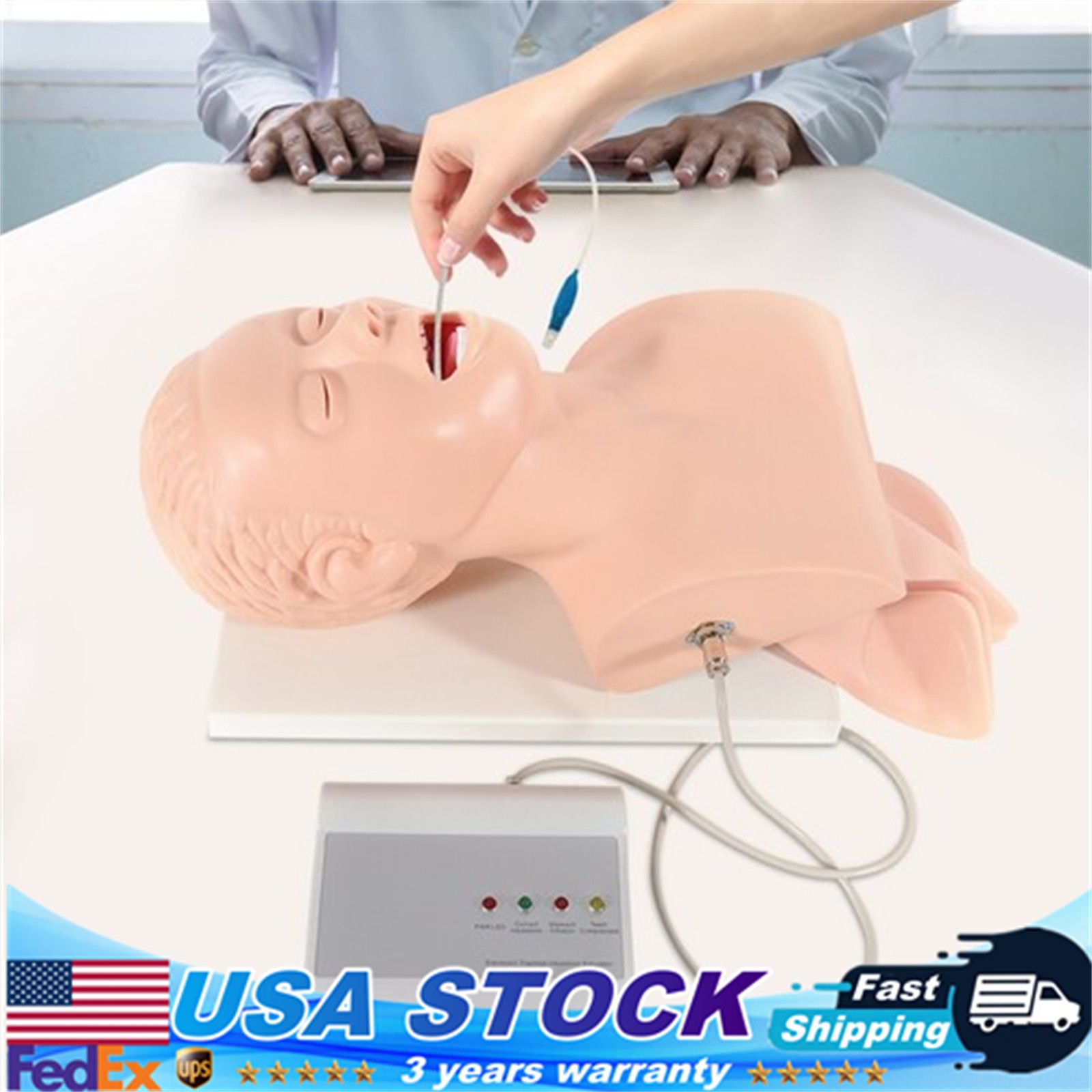 Airway Management Trainer Study Adult Oral Intubation Manikin Teaching Model NEW
