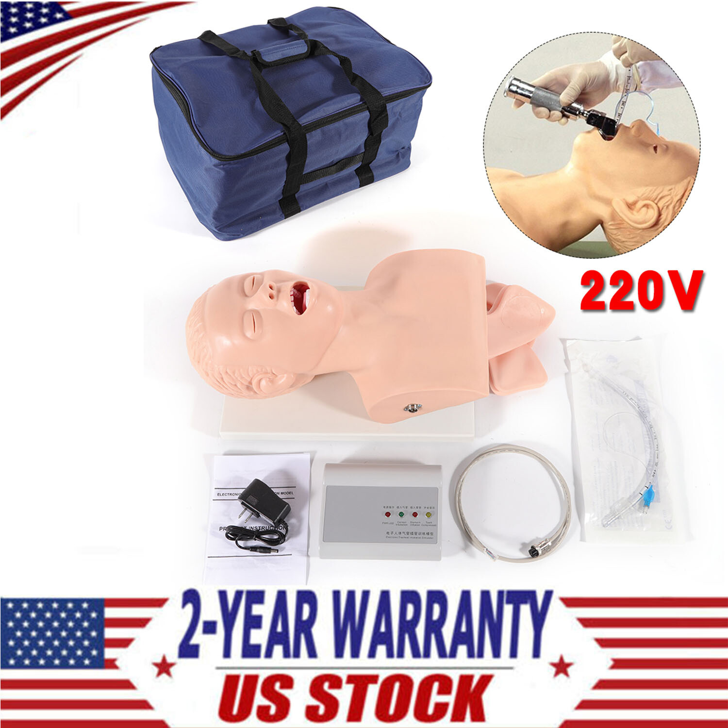 Airway Management Trainer Study Adult Oral Intubation Manikin Teaching Model NEW