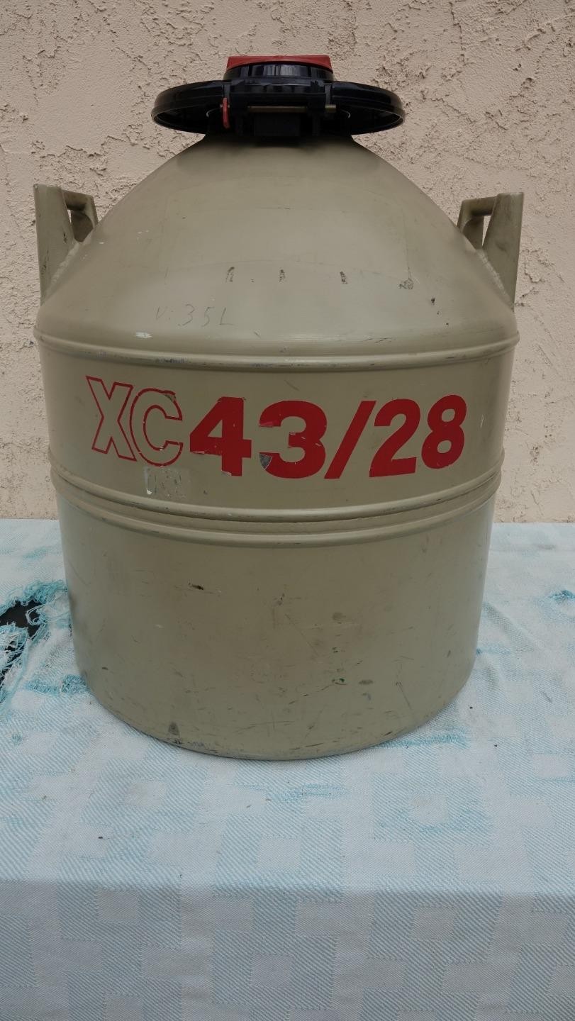 MVE XC 43/28 Cryogenic Freezer ~ FREE SHIPPING